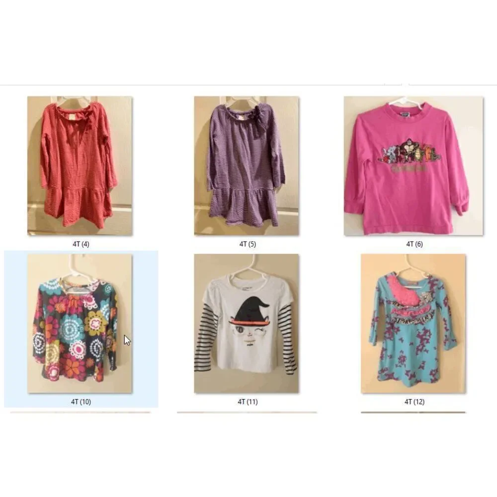 Toddler Girl Fall Winter 4T Mystery Bundle